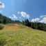  Terreno (Parcela) en venta en Guarne, Antioquia, Guarne