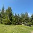  Terreno (Parcela) en venta en Guarne, Antioquia, Guarne