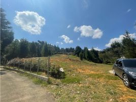  Terreno (Parcela) en venta en Guarne, Antioquia, Guarne