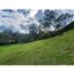 Terrain à vendre à Rionegro, Antioquia, Rionegro