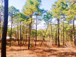  Land for sale in Morelia, Michoacan, Morelia