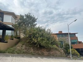 在Michoacan出售的 土地, Morelia, Michoacan