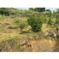  Land for sale in San Gil, Santander, San Gil