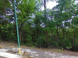  Terreno (Parcela) en venta en Jose Azueta, Guerrero, Jose Azueta