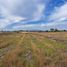  Land for sale in Alvaro Obregon, Michoacan, Alvaro Obregon