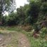  Land for sale in Tzintzuntzan, Michoacan, Tzintzuntzan