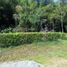  Land for sale in Manizales, Caldas, Manizales