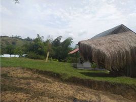  Land for sale in Manizales, Caldas, Manizales