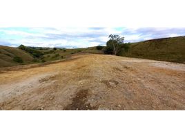  Land for sale in Pereira, Risaralda, Pereira