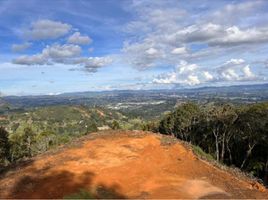  Terreno (Parcela) en venta en Rionegro, Antioquia, Rionegro, Antioquia