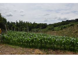 Estudio Villa en venta en Manizales, Caldas, Manizales