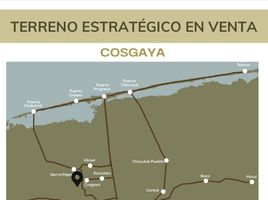  Grundstück zu verkaufen in Merida, Yucatan, Merida, Yucatan