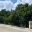  Land for sale in Cozumel, Quintana Roo, Cozumel, Quintana Roo