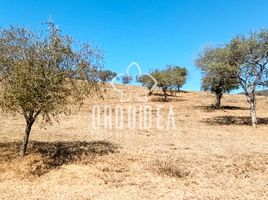  Land for sale in Salta, Capital, Salta