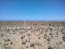  Land for sale in La Higuera, Elqui, La Higuera