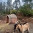  Terreno (Parcela) en venta en Maule, Cauquenes, Cauquenes, Maule