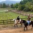  Terreno (Parcela) en venta en Maule, Cauquenes, Cauquenes, Maule