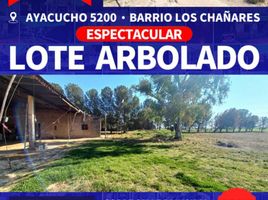  Land for sale in Bahia Blanca, Buenos Aires, Bahia Blanca