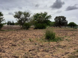  Land for sale in Florencio Varela, Buenos Aires, Florencio Varela