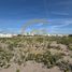  Terreno (Parcela) en venta en Chile, La Serena, Elqui, Coquimbo, Chile