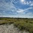  Land for sale in Marin, Nuevo Leon, Marin