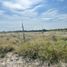  Land for sale in Marin, Nuevo Leon, Marin