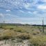  Land for sale in Marin, Nuevo Leon, Marin