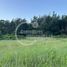  Terreno (Parcela) en venta en Loncoche, Cautín, Loncoche