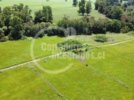  Terreno (Parcela) en venta en Loncoche, Cautín, Loncoche