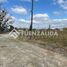  Land for sale in Maule, Longavi, Linares, Maule
