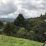  Land for sale in Guarne, Antioquia, Guarne