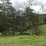  Land for sale in Guarne, Antioquia, Guarne