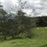  Land for sale in Guarne, Antioquia, Guarne