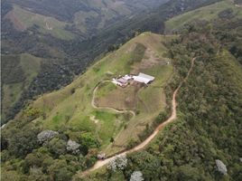 4 Habitación Casa en venta en Quindio, Salento, Quindio