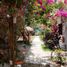 6 Bedroom House for sale in Santa Marta, Magdalena, Santa Marta