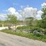  Land for sale in Tixkokob, Yucatan, Tixkokob
