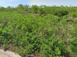  Land for sale in Tixkokob, Yucatan, Tixkokob