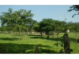  Terreno (Parcela) en venta en Quinta de San Pedro Alejandrino, Santa Marta, Santa Marta