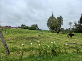  Terreno (Parcela) en venta en Chia, Cundinamarca, Chia