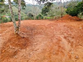  Grundstück zu verkaufen in San Carlos, Antioquia, San Carlos