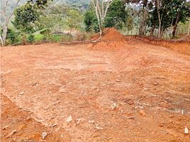  Grundstück zu verkaufen in San Carlos, Antioquia, San Carlos