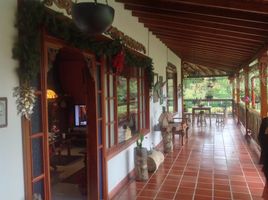 3 Habitación Casa en venta en Salento, Quindio, Salento