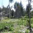  Land for sale in Rio Negro, Bariloche, Rio Negro