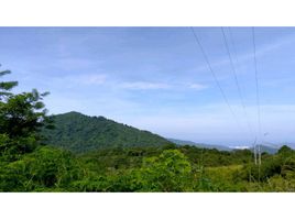  Land for sale in Magdalena, Santa Marta, Magdalena