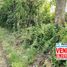  Land for sale in San Zenon, Magdalena, San Zenon