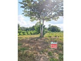  Land for sale in San Zenon, Magdalena, San Zenon