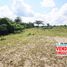  Land for sale in San Zenon, Magdalena, San Zenon