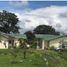 5 Bedroom House for sale in Pitalito, Huila, Pitalito