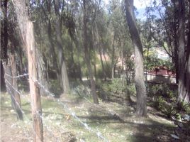  Grundstück zu verkaufen in Armenia, Quindio, Armenia, Quindio