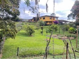 3 Bedroom Villa for sale in Bare Foot Park (Parque de los Pies Descalzos), Medellin, Medellin